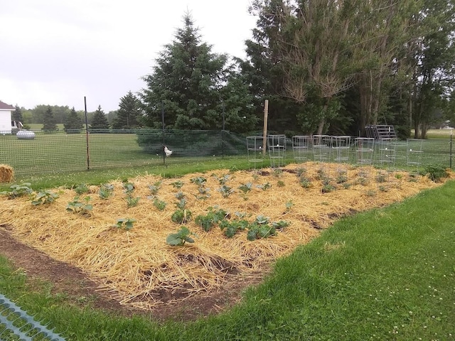 view of yard with a rural view and fence