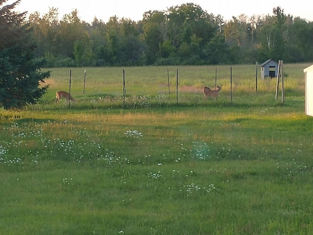 view of yard with a rural view