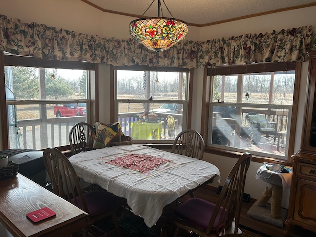 dining area featuring a healthy amount of sunlight and ornamental molding