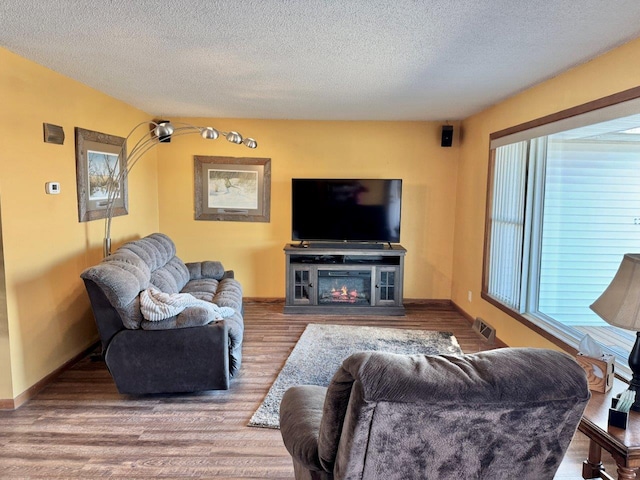 1001 1st Ave NW, Pelican Rapids, MN 56572 - living area featuring a textured ceiling, wood finished floors, and a glass covered fireplace
