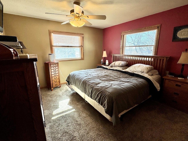 1001 1st Ave NW, Pelican Rapids, MN 56572 - bedroom with multiple windows, carpet flooring, and ceiling fan