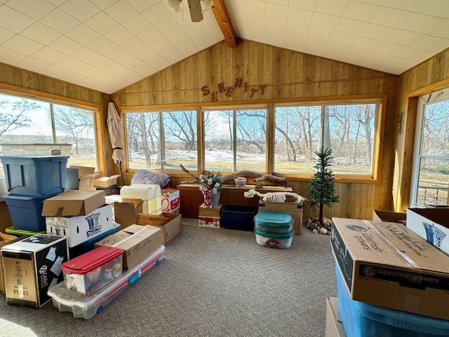 1001 1st Ave NW, Pelican Rapids, MN 56572 - sunroom / solarium with lofted ceiling, wood walls, and carpet