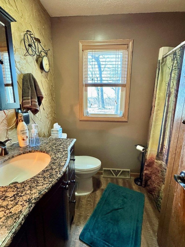 1001 1st Ave NW, Pelican Rapids, MN 56572 - bathroom with vanity, curtained shower, and a textured ceiling