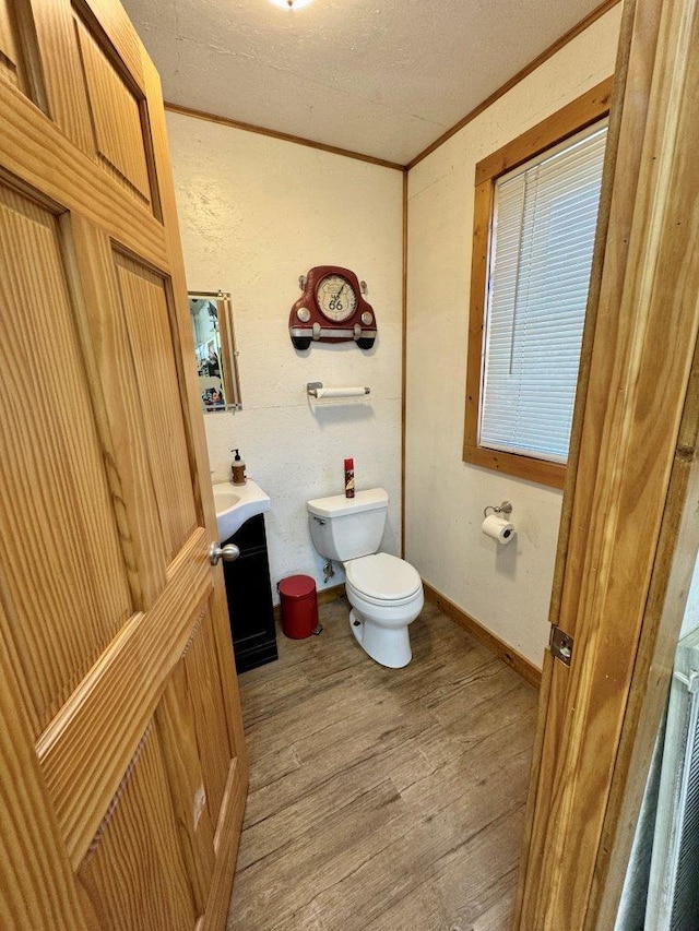 1001 1st Ave NW, Pelican Rapids, MN 56572 - bathroom with vanity, wood finished floors, and crown molding