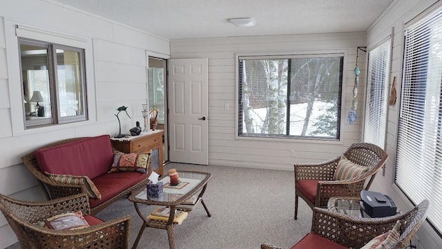 interior space featuring carpet and a textured ceiling