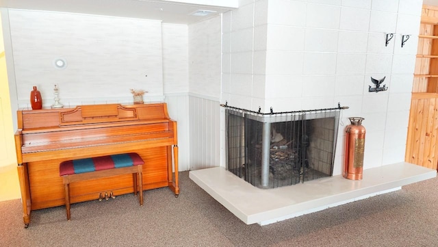 details featuring carpet floors, a wainscoted wall, and a tiled fireplace