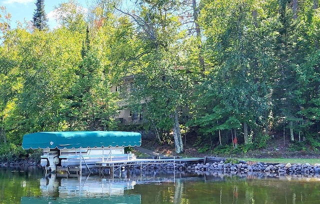 dock area with a water view