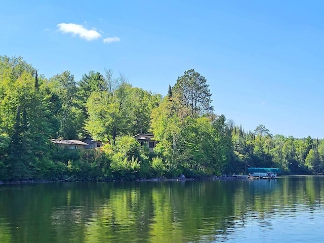 view of water feature featuring a view of trees