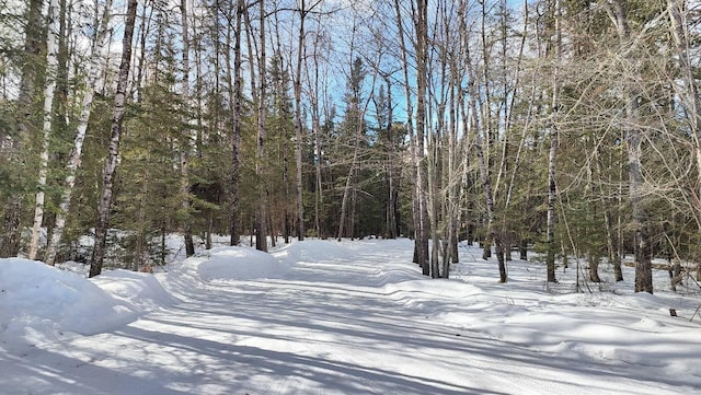 yard layered in snow featuring a wooded view