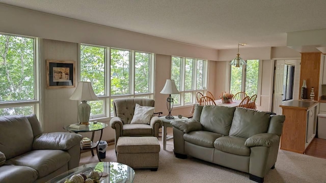 7582 Green Rock Rd, Bearville Twp, MN 55781 - photo 3