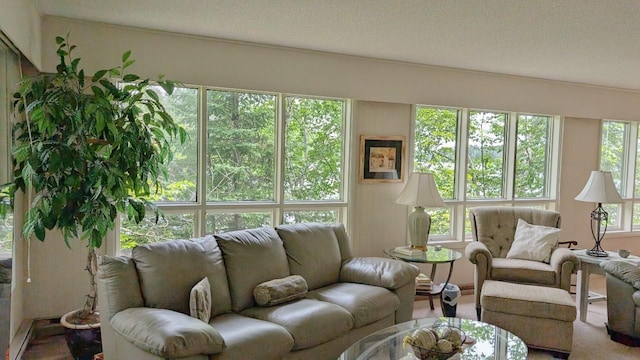 7582 Green Rock Rd, Bearville Twp, MN 55781 - photo 5