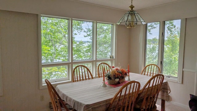 7582 Green Rock Rd, Bearville Twp, MN 55781 - photo 8