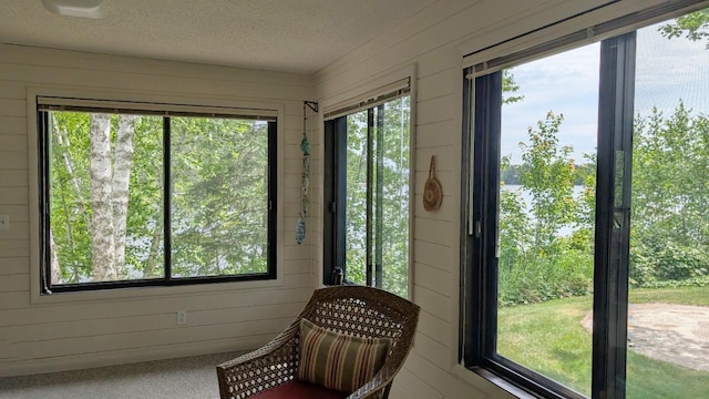 7582 Green Rock Rd, Bearville Twp, MN 55781 - photo 13
