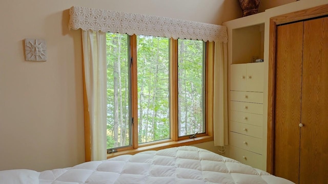 7582 Green Rock Rd, Bearville Twp, MN 55781 - photo 25