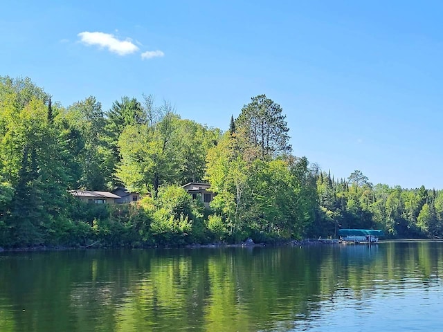 7582 Green Rock Rd, Bearville Twp, MN 55781 - photo 31