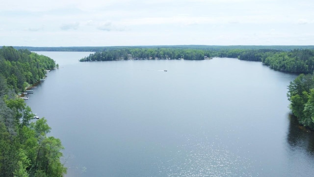 7582 Green Rock Rd, Bearville Twp, MN 55781 - photo 50