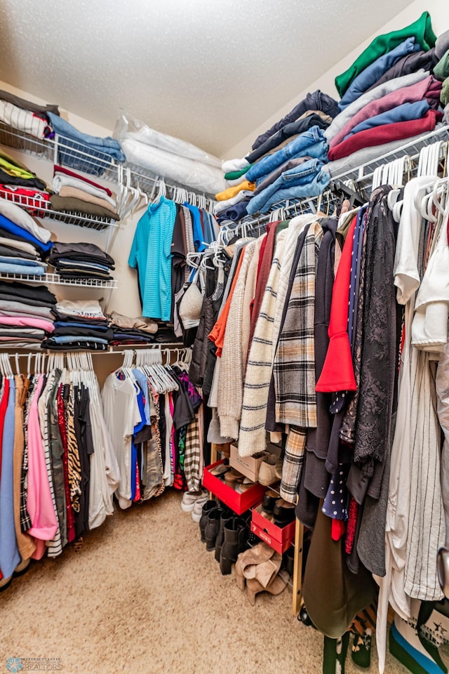 walk in closet featuring carpet floors