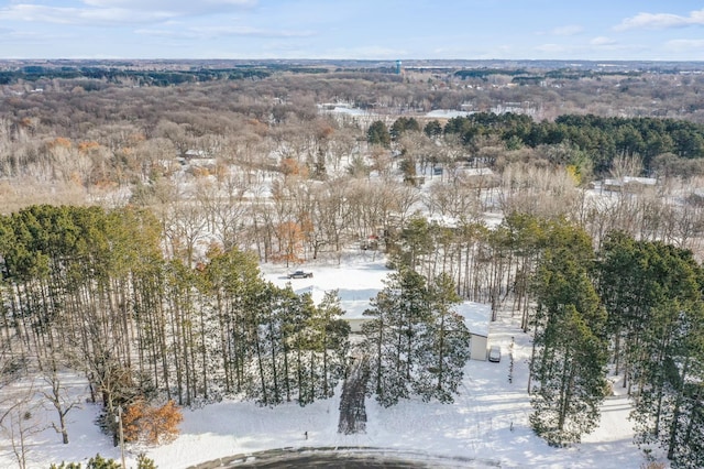 view of snowy aerial view