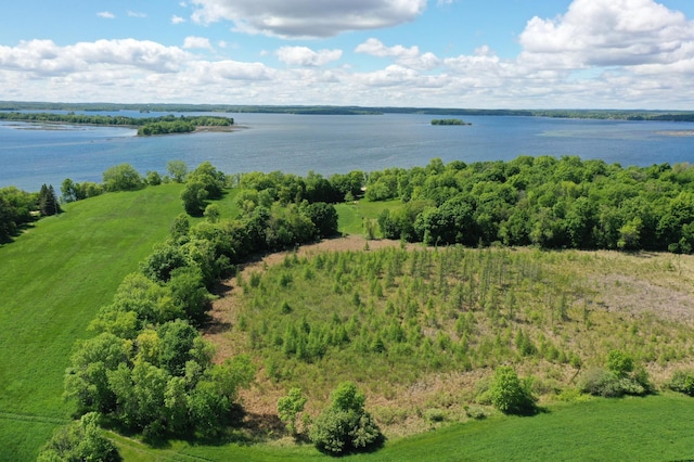 XXX Beaver Dam Road, Dent MN, 56528 land for sale