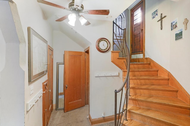 staircase featuring ceiling fan and carpet flooring