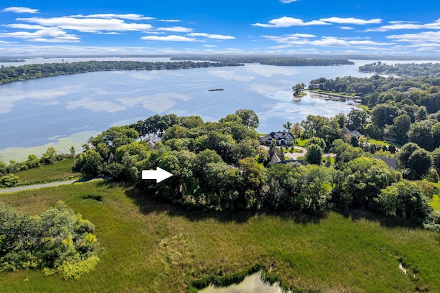 2314 Old Beach Rd, Minnetonka Beach, MN 55391 - photo 75