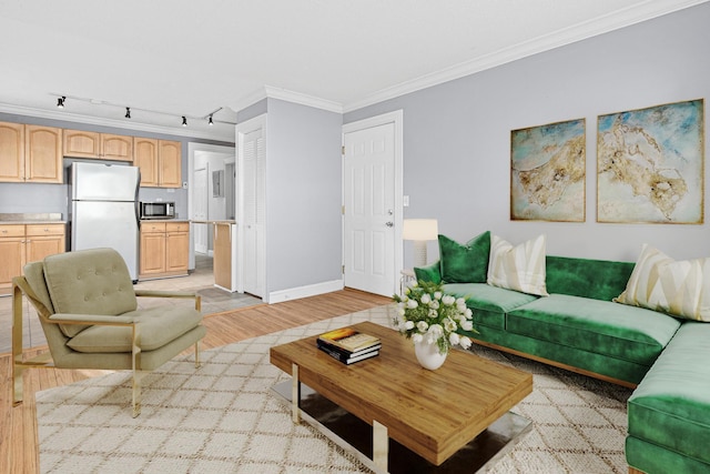 living area featuring track lighting, light wood-style flooring, baseboards, and ornamental molding