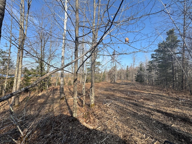 82981 State Highway 23, Kerrick, MN 55756