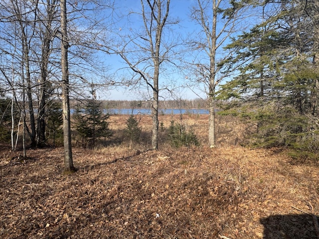 82981 State Highway 23, Kerrick, MN 55756