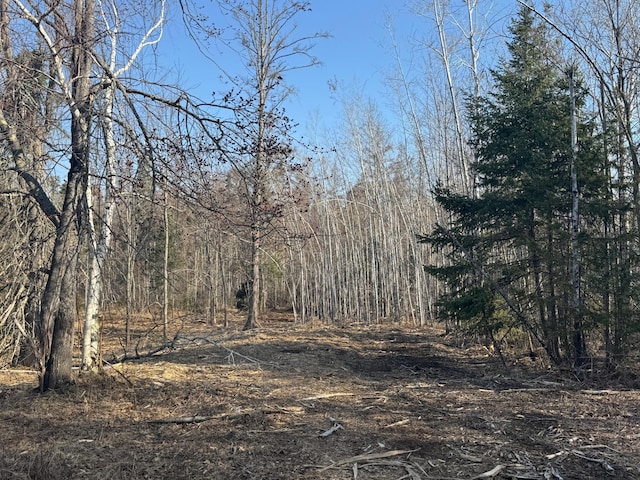 82981 State Highway 23, Kerrick, MN 55756