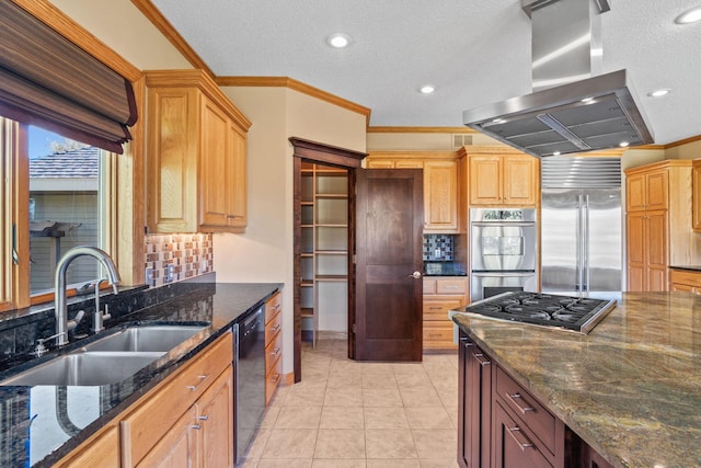 kitchen with a sink, ornamental molding, island exhaust hood, and stainless steel appliances