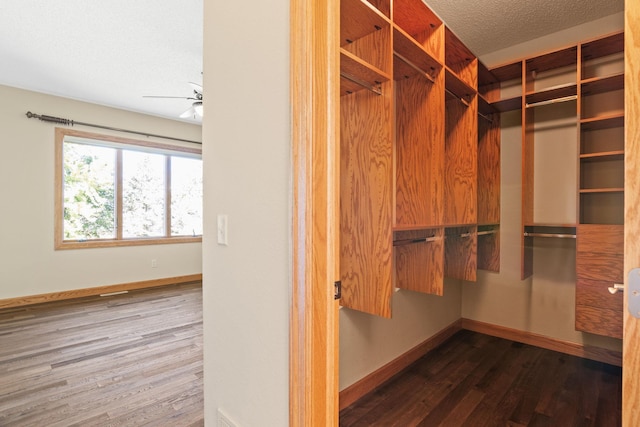 walk in closet featuring a ceiling fan and wood finished floors