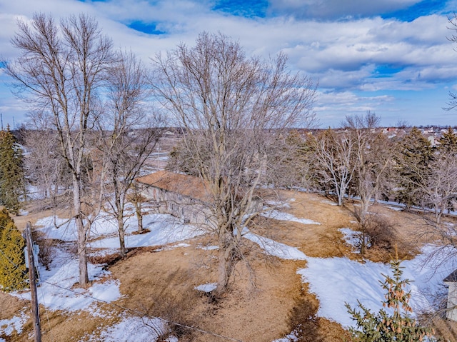 view of snow covered land