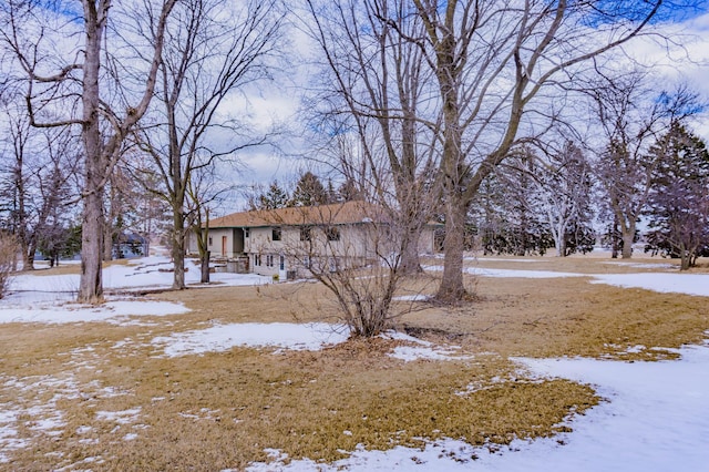 view of snowy yard