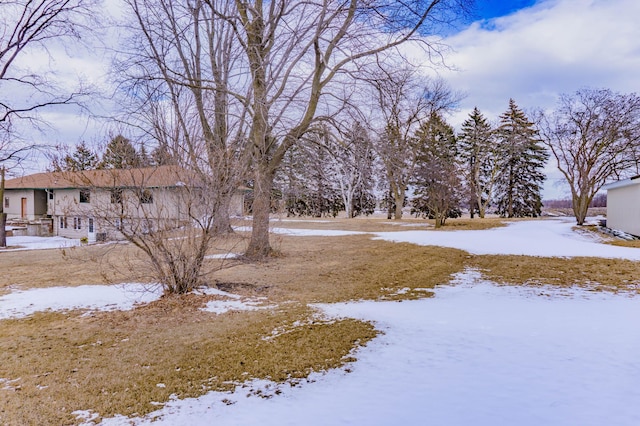 view of yard layered in snow