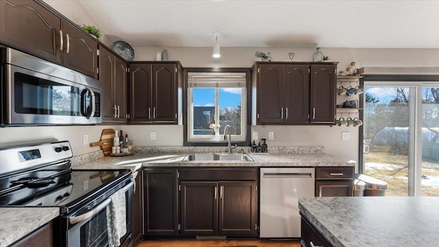 kitchen with a sink, dark brown cabinets, plenty of natural light, and stainless steel appliances