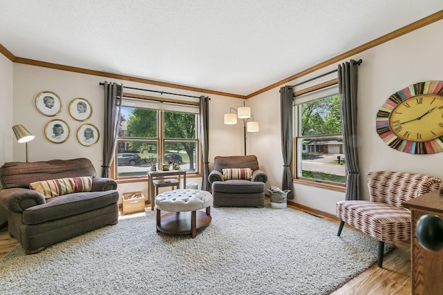2415 Field Ct, Saint Cloud, MN 56301 - living room with ornamental molding, wood finished floors, plenty of natural light, and baseboards