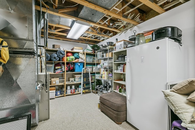 2415 Field Ct, Saint Cloud, MN 56301 - view of storage area