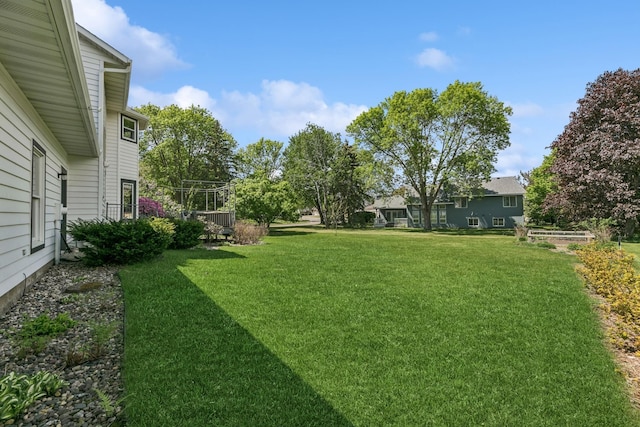 2415 Field Ct, Saint Cloud, MN 56301 - view of green lawn