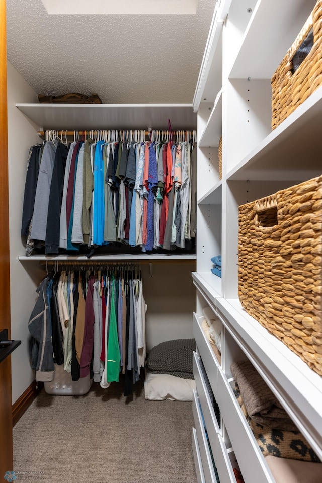 walk in closet featuring carpet floors