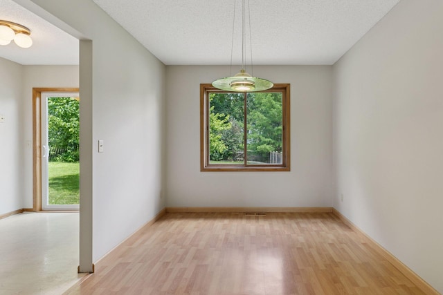 18884 Pennington Ave, Eden Prairie, MN 55346 - spare room featuring light wood finished floors and a textured ceiling