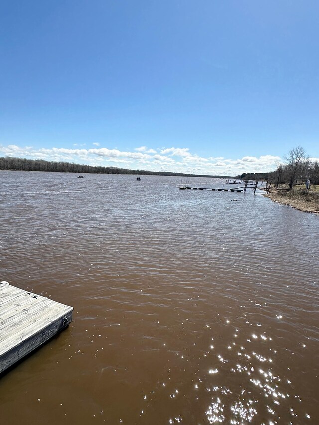 1421 Riverside Dr NW, Baudette, MN 56623 - dock featuring a water view
