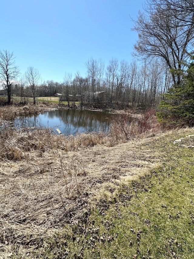 1421 Riverside Dr NW, Baudette, MN 56623 - water view