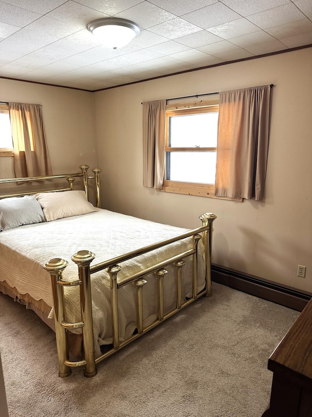 1421 Riverside Dr NW, Baudette, MN 56623 - bedroom featuring light colored carpet and baseboard heating