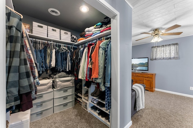 walk in closet with visible vents, a ceiling fan, and carpet flooring