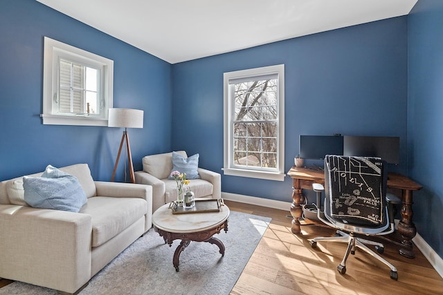 interior space featuring a wealth of natural light, baseboards, and wood finished floors