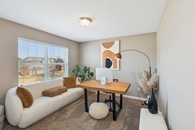 office with carpet and baseboards