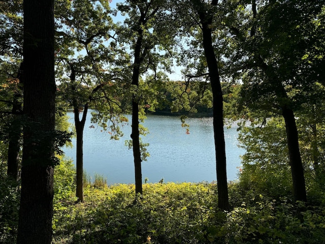 view of water feature