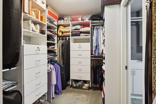 spacious closet featuring carpet