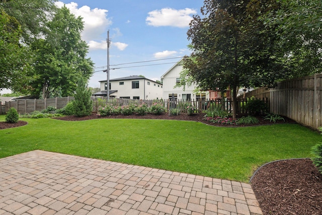 view of yard featuring a patio area and a fenced backyard