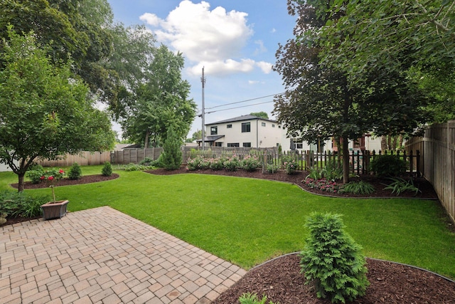 view of yard with a patio and a fenced backyard